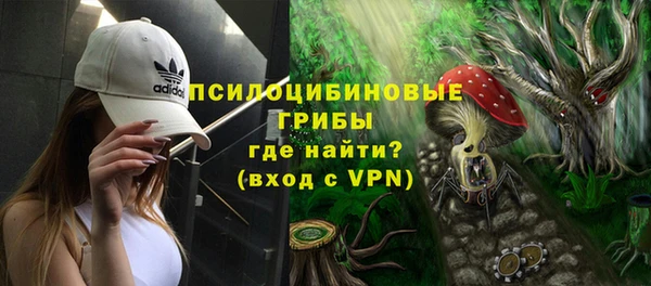 стафф Алексин