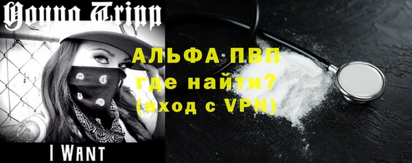 стафф Алексин