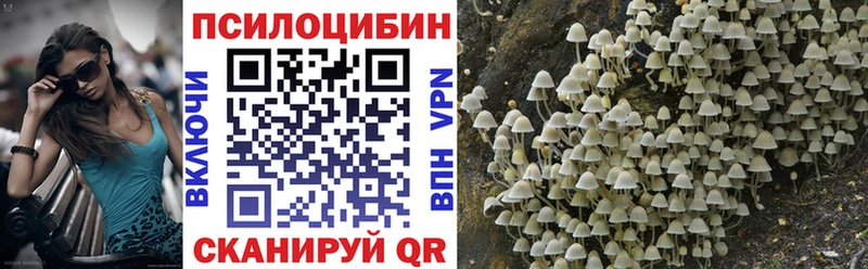 даркнет сайт  Ладушкин  Галлюциногенные грибы Psilocybe 